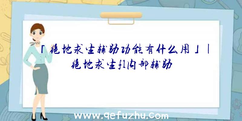 「绝地求生辅助功能有什么用」|绝地求生fl内部辅助